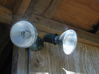 Spider webs on house roof corner with lights