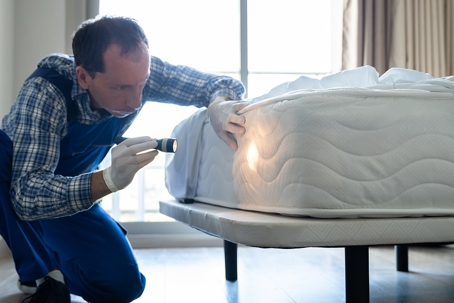 A person is doing a bed bug inspection
