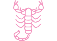 Scorpion Pest Control Scottsdale